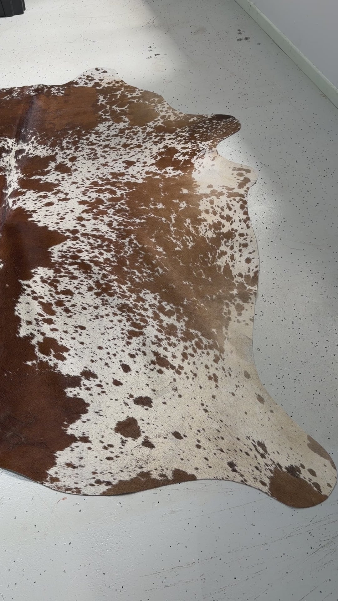 Genuine Cowhide Floor Rug 50-1