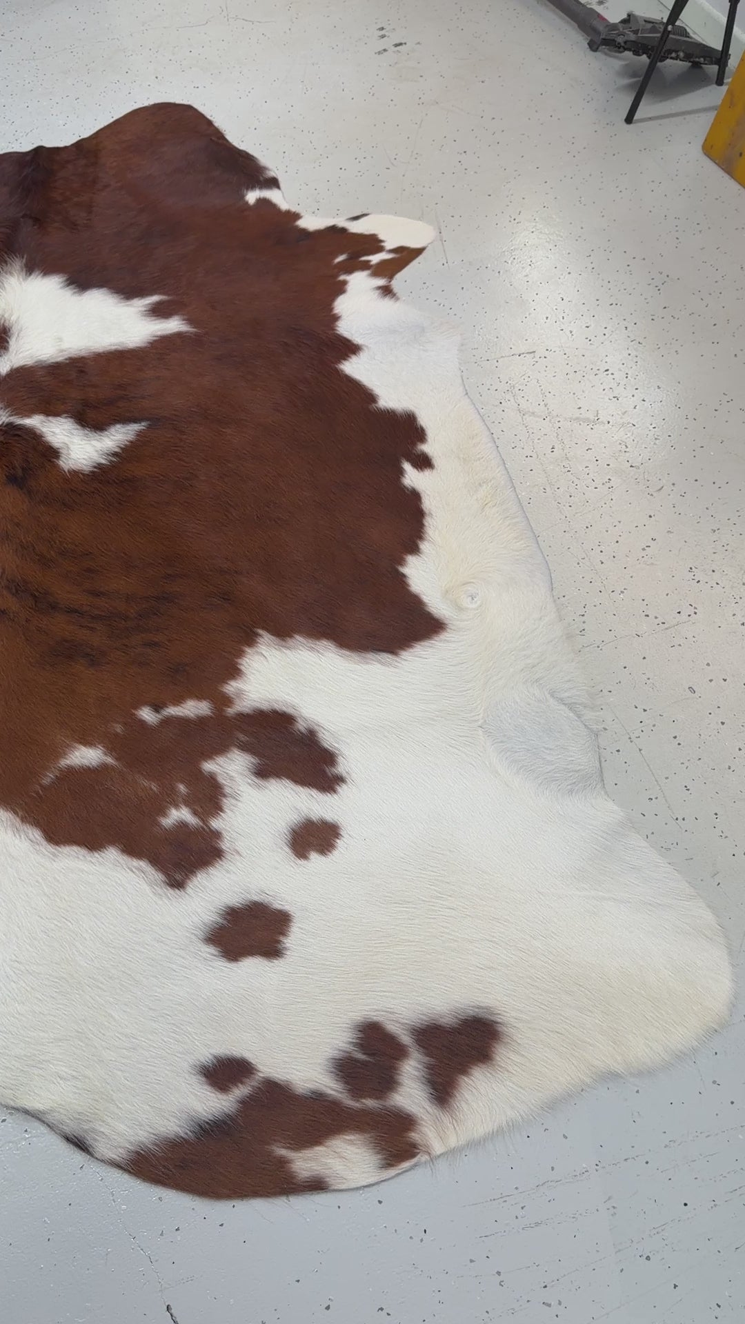 Genuine Cowhide Floor Rug 803
