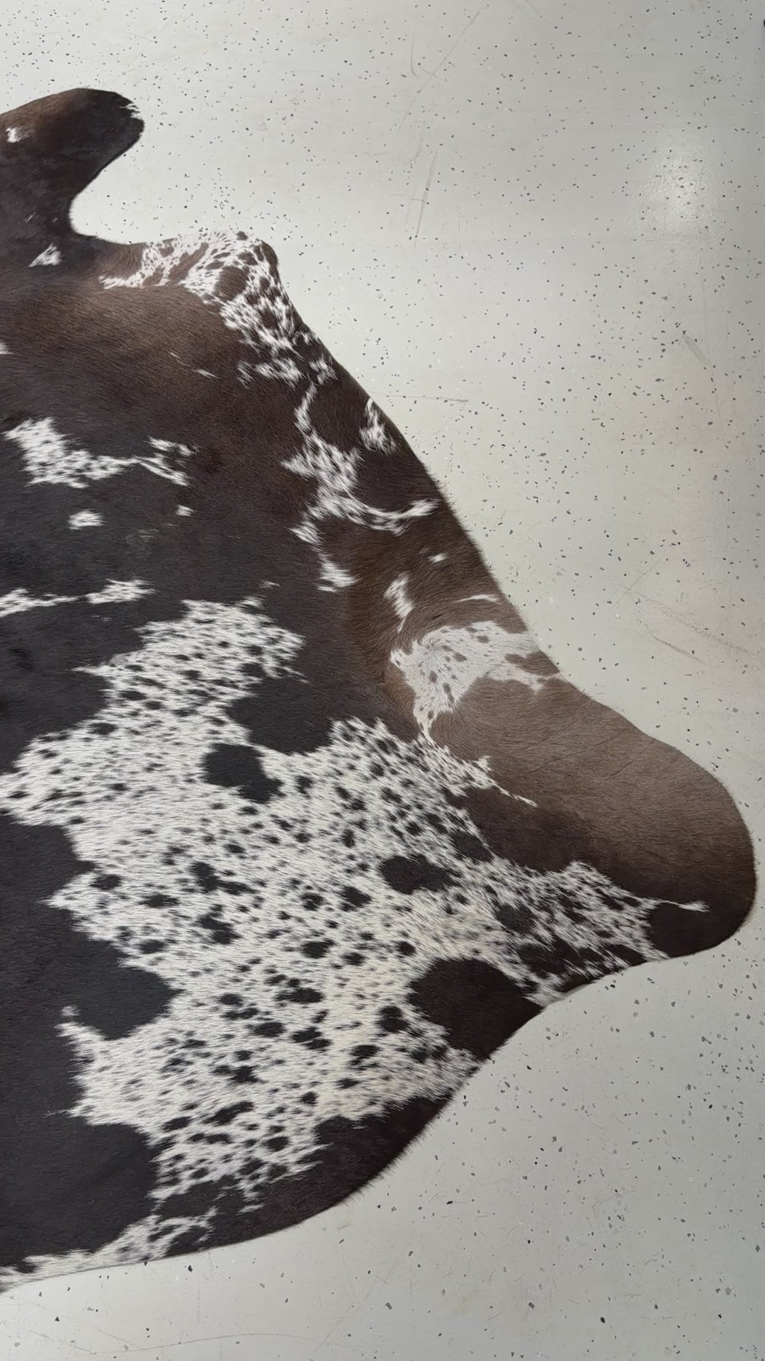 Genuine Cowhide Floor Rug 974