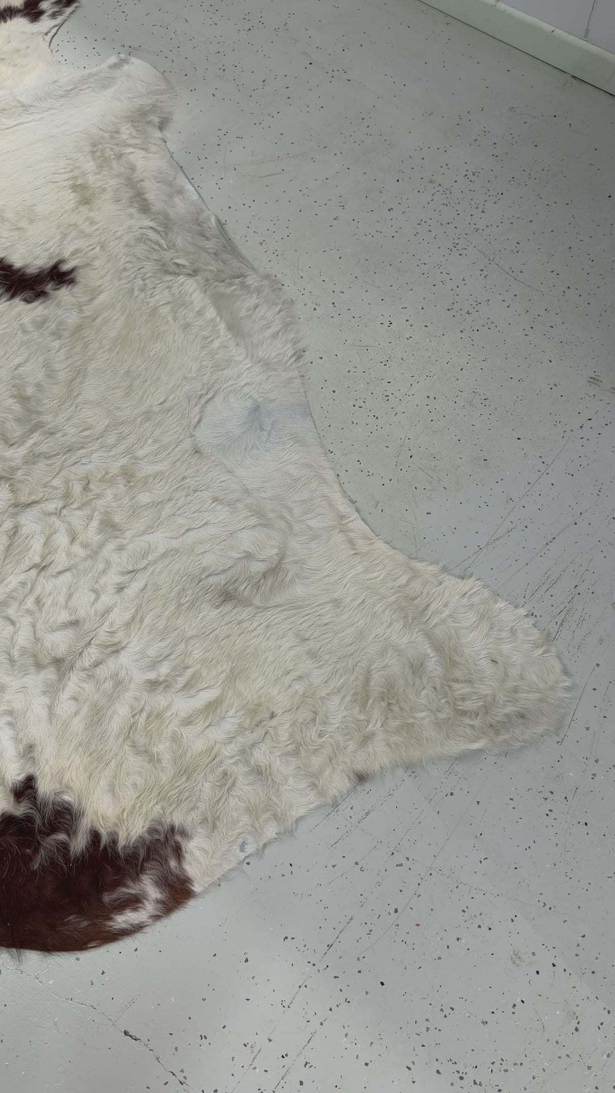 Genuine Cowhide Floor Rug 0011 - SECOND GRADE