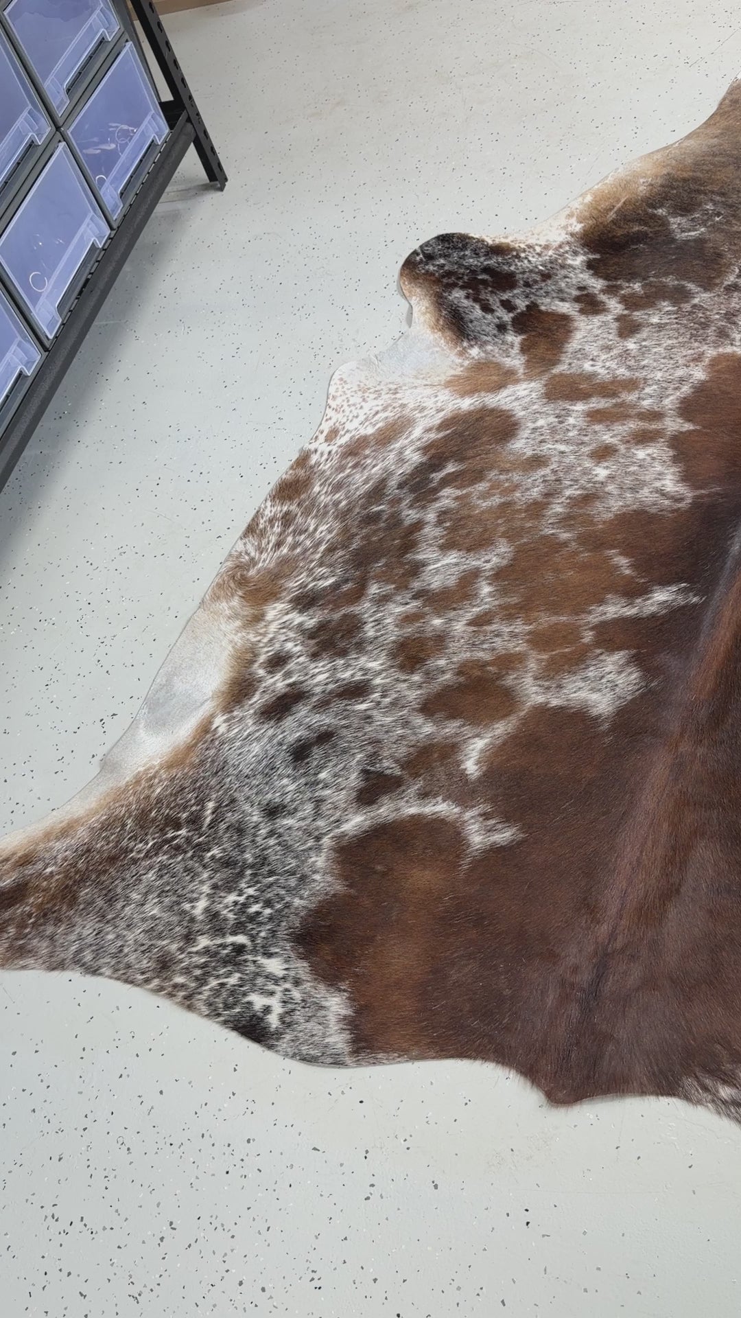 Genuine Cowhide Floor Rug 503-1