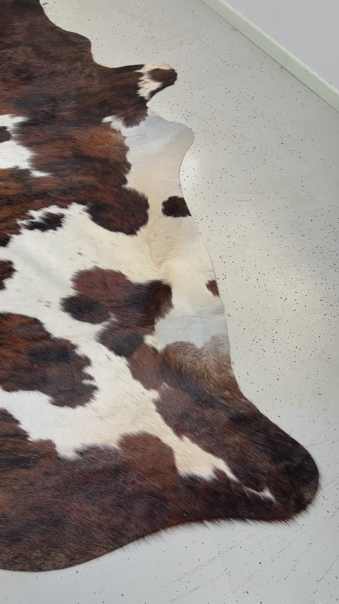 Genuine Cowhide Floor Rug 215-1