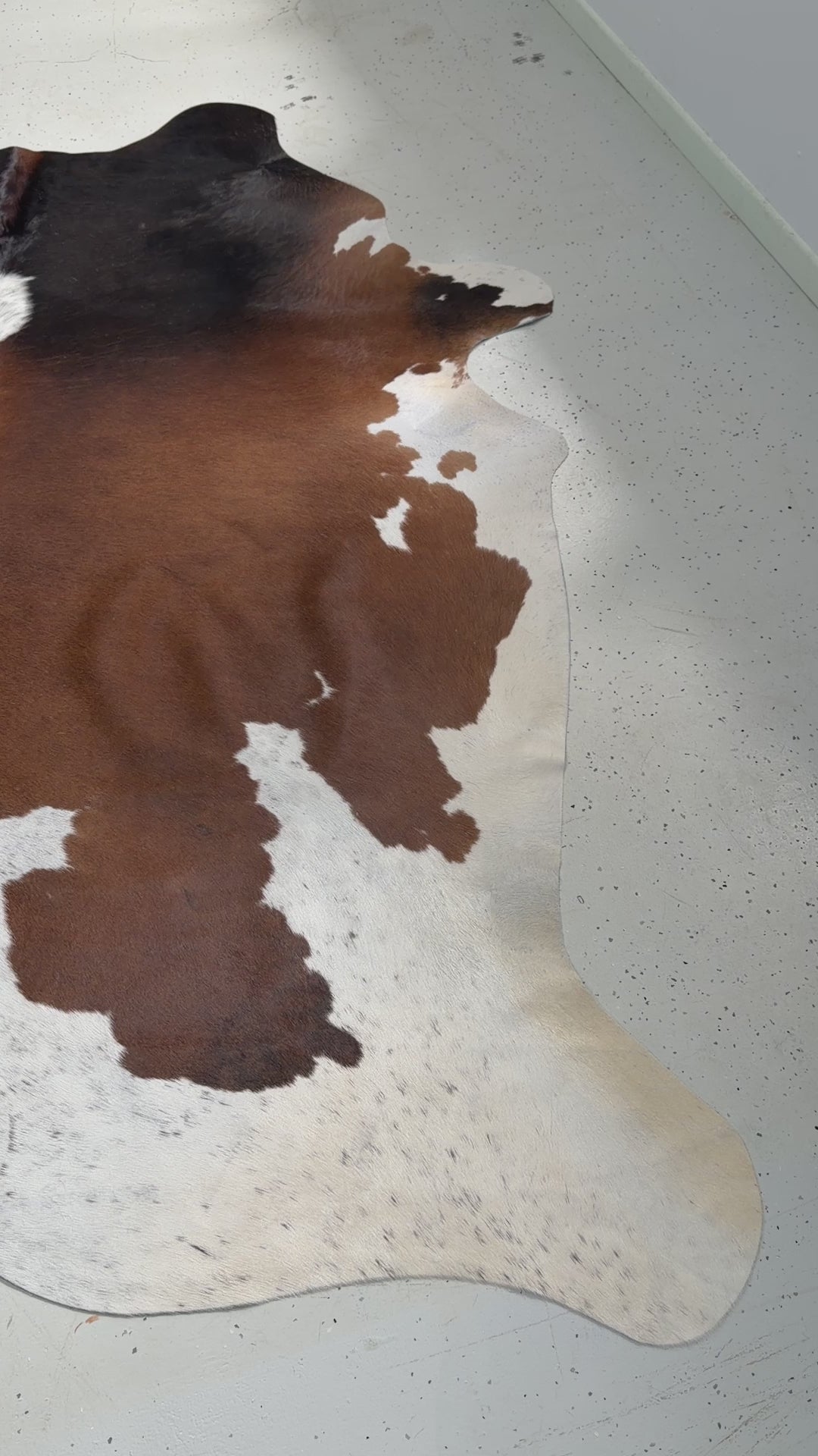 Genuine Cowhide Floor Rug 286
