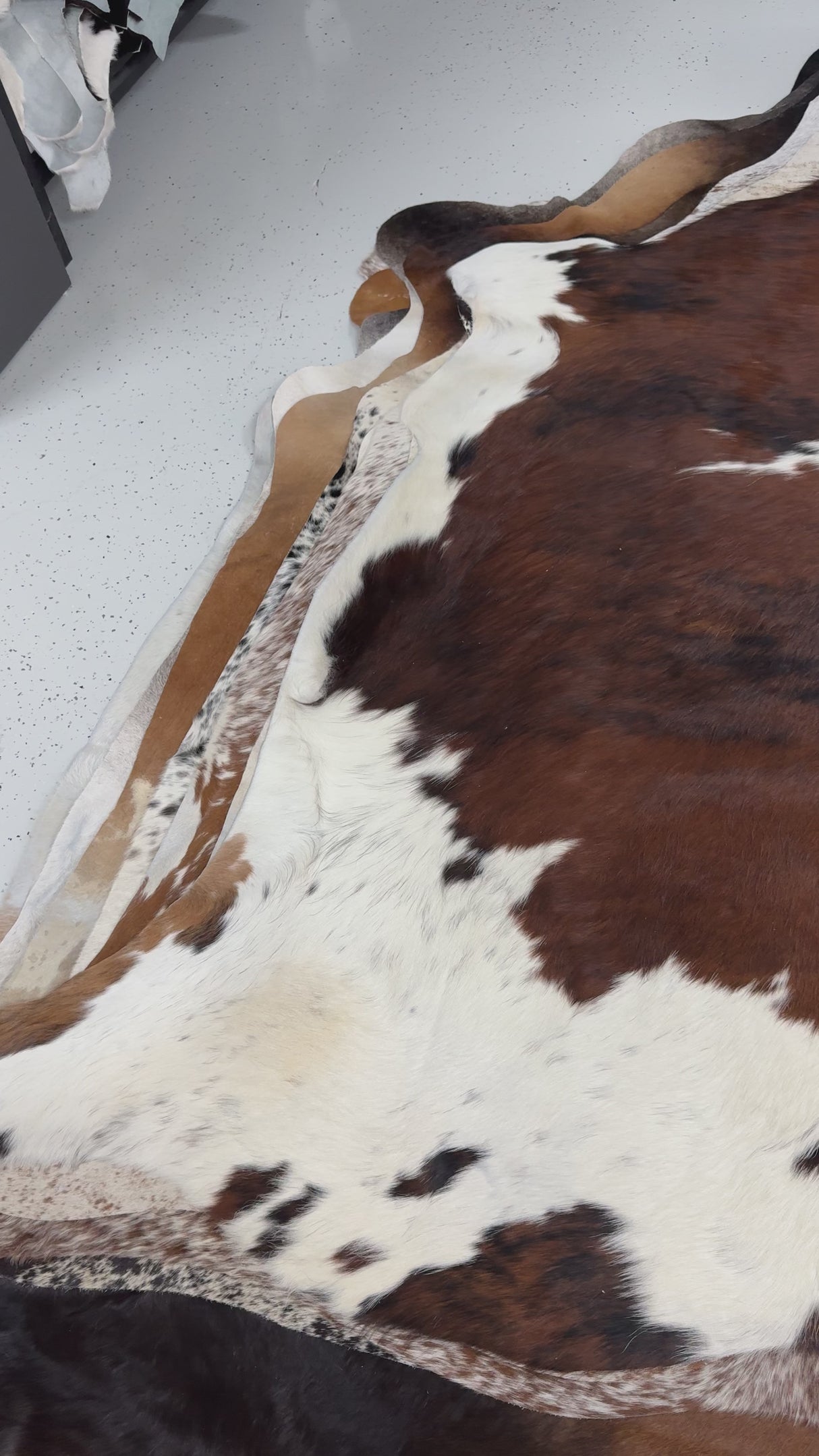 Genuine Cowhide Floor Rug 838