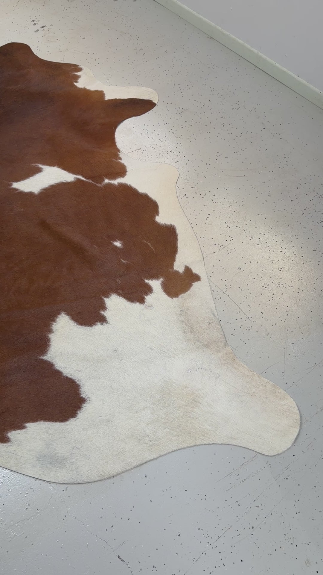 Genuine Cowhide Floor Rug 59-1