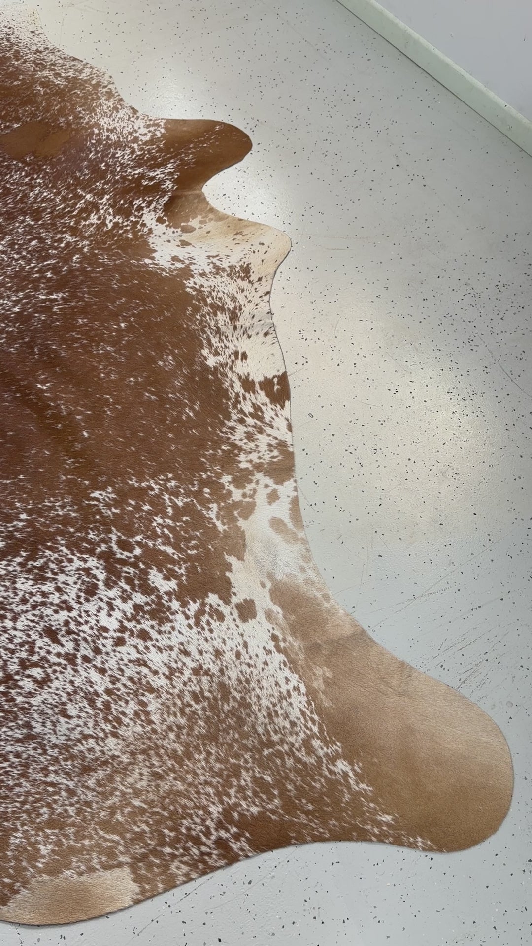 Genuine Cowhide Floor Rug 34